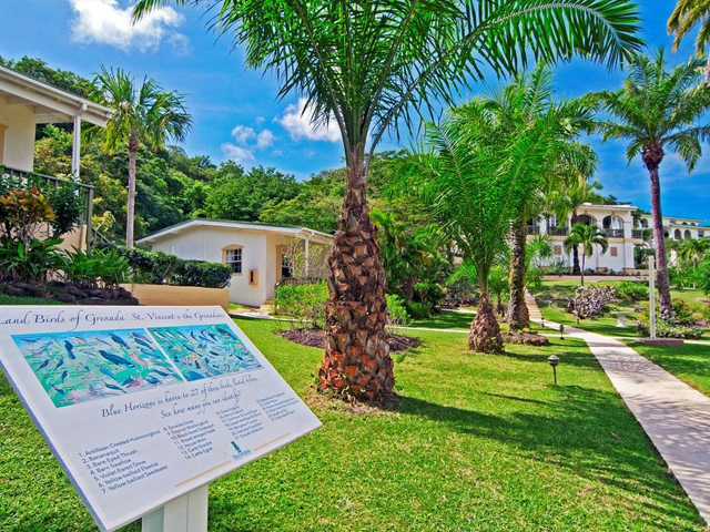 Blue Horizons Garden Resort