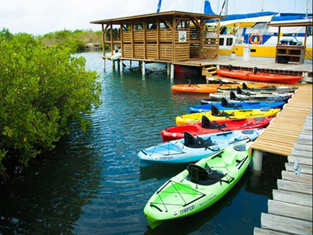 Conservation Kayak